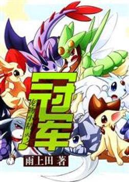 宠物小精灵之冠军第八区网