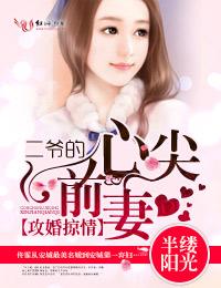 攻婚掠情二爷的心尖前妻佟霏战天爵作者半缕阳光